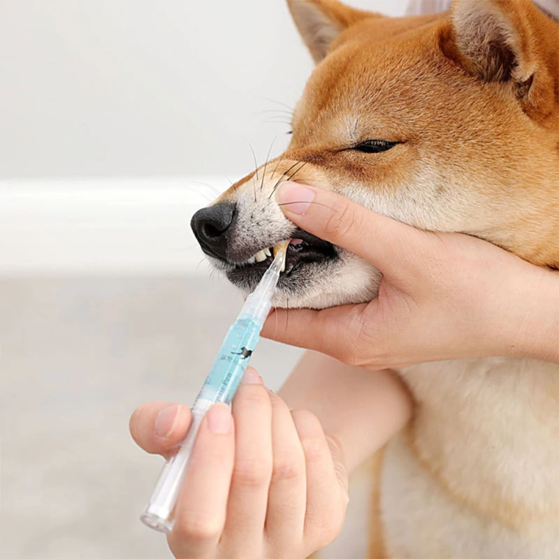 3_5ml-Pets-Teeth-Cleaning-Tool-Dogs-Cats-Tartar-Remover-Dental-Stones-Scraper-Plastic-Cleaning-Pen-Cleaning